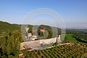 Aereal view castello Brolio