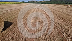 Aereal view of hay bales