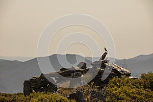 Aereal View from Serra da Freita, located in Portugal