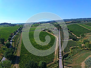 Aereal view of vineyard chianti drone