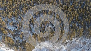 Aerial 4k shot of beautiful winter forest