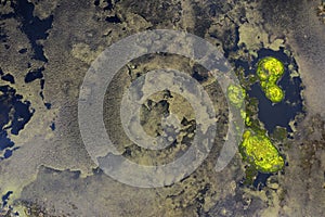 Aerial abstract image of water and algae patterns at Lagoa Branca caldera crater on the Azores island of Ilha das Flores