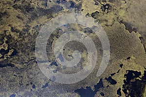 Aerial abstract image of water and algae patterns at Lagoa Branca caldera crater on the Azores island of Ilha das Flores
