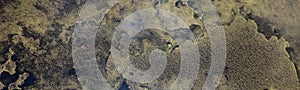 Aerial abstract image of water and algae patterns at Lagoa Branca caldera crater on the Azores island of Ilha das Flores