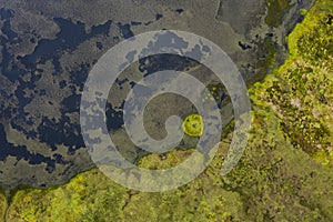 Aerial abstract image of water and algae patterns at Lagoa Branca caldera crater on the Azores island of Ilha das Flores photo