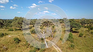 Aerial african river landscape in Nambwa Namibia