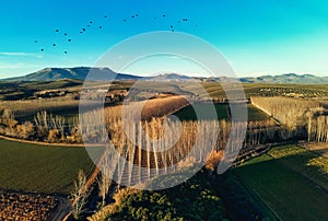 Aerial agricultural fields, cultivated lands of Granada. Spain