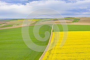 Aerial agriculture fields landscape