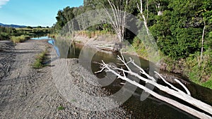 Aerial Along Fallen Trees On Creek Bank