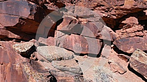 Aerial ancient Indian rock art petroglyphs pan Utah 4K