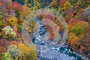 Aerial Autumn Forest River Japan