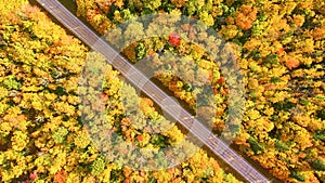 Aerial Autumn Road Through Michigan Forest Foliage