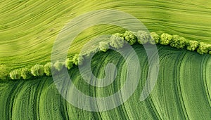 Aerial banner of vibrant green cultivated agricultural fields in european countryside