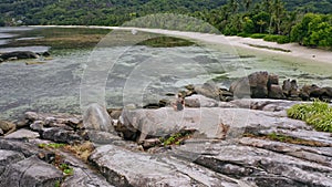 Aerial beach reveal footage on tropical coast at Anse Forbans. Mahe Island, Seychelles