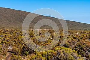 Aerial beautiful view of a forest on the background of Mount Kilimanjaro in Tanzania