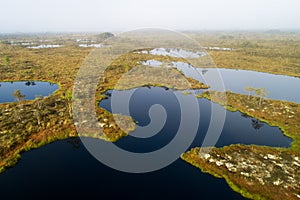 Aerial bog lakes in Kuresoo bog, Soomaa National Park, Estonian nature.