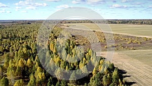 Aerial boundless harvested fields among forests in autumn