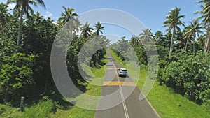 AERIAL: Car drives along narrow asphalt road surrounded by lush exotic nature.