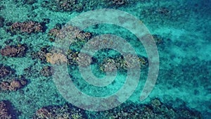 Aerial of Caribbean Coral Reef and Snorkelers