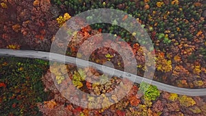 Aerial of cars driving through sunny autumn forest.