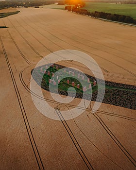 Aerial of a cereal field and the ruins of an old stone building, reminiscent of Stonehenge.
