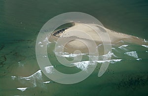 Aerial at Chatham, Cape Cod Showing Harbor and Gray Seals Hauled Out on Sandspit