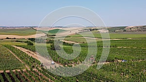 Aerial Cinematic clip. Top view of a winery in Kyjov, Czech republic. Wine aging in rows.