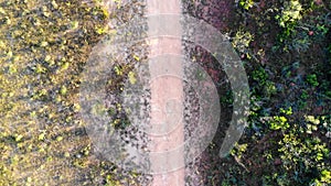 Aerial of clay road surrounded by brazilian caatinga vegetation, at sertao.