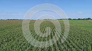 An Aerial Close Up View of Amish Farmlands and Countryside with Corn Fields