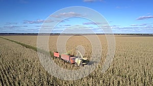 Aerial combine harvests corn pours silomass into truck