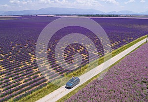 AERIAL Couple looks out car sunroof and outstretch arms while exploring Provence