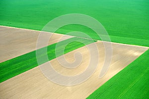 Aerial of crop fields