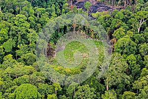 Antena de reducir árboles sobre el países en selva 