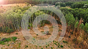 Aerial. Deforestation background. Disboscation of trees