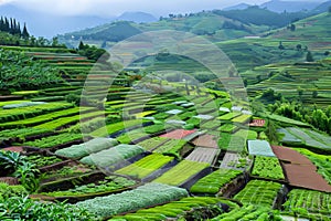 Aerial digital art of vibrant green farmland by river, depicting lush agricultural fields