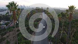 Aerial Drone Elysian Park Palm Trees Los Angeles Sunset 3