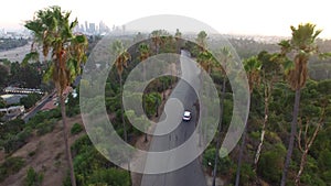 Aerial Drone Elysian Park Palm Trees Los Angeles Sunset 3