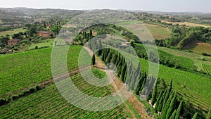 Aerial drone footage captures the breathtaking summer vista of an elegant villa.