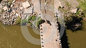 Aerial drone footage of a zebra getting frightened by a water lizard on the bridge