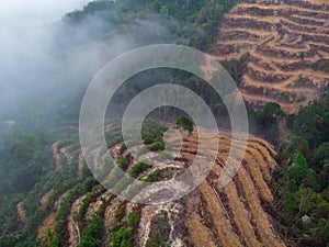 Aerial drone image of Deforestation. Aerial drone footage of rain forest (rainforest) destroyed to make way for oil palm
