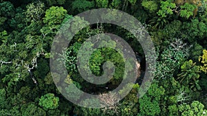 Aerial drone image of the rainforest and a small river at Amboro National Park, Bolivia