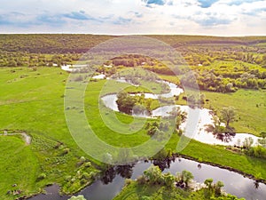 Aerial drone landscape of river in green field