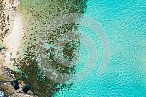 Aerial drone photo - The famous Blue Lagoon in the Mediterranean Sea. Comino Island, Malta