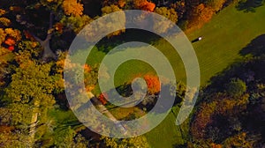 Aerial drone photo - Overhead view of a lush green forest It is a beautiful place in central Europe 2019
