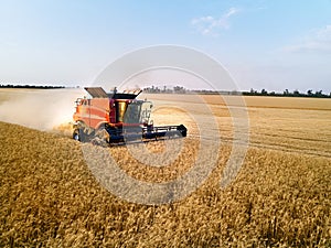 Aerial drone photo of red harvester working in wheat field on sunset. Combine harvesting machine driver cutting crop in