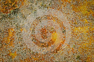 Aerial drone photo of the textures of a bog landscape