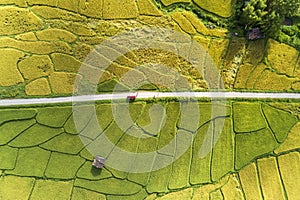 Aerial Drone Photography Top down of green and golden rice fields with Beautiful light of nature in the morning