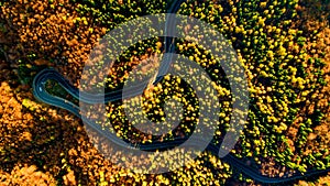 Aerial drone`s view of forest road in the mountains. Colourful landscape with rural road, trees with yellow leaves