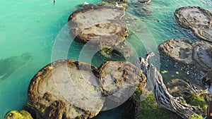 Aerial Drone Shot of Ancient Stromatolites in seven colores lagoon near Bacalar, Quintana Roo, Mexico