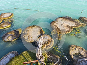 Aerial Drone Shot of Ancient Stromatolites in seven colores lagoon near Bacalar, Quintana Roo, Mexico